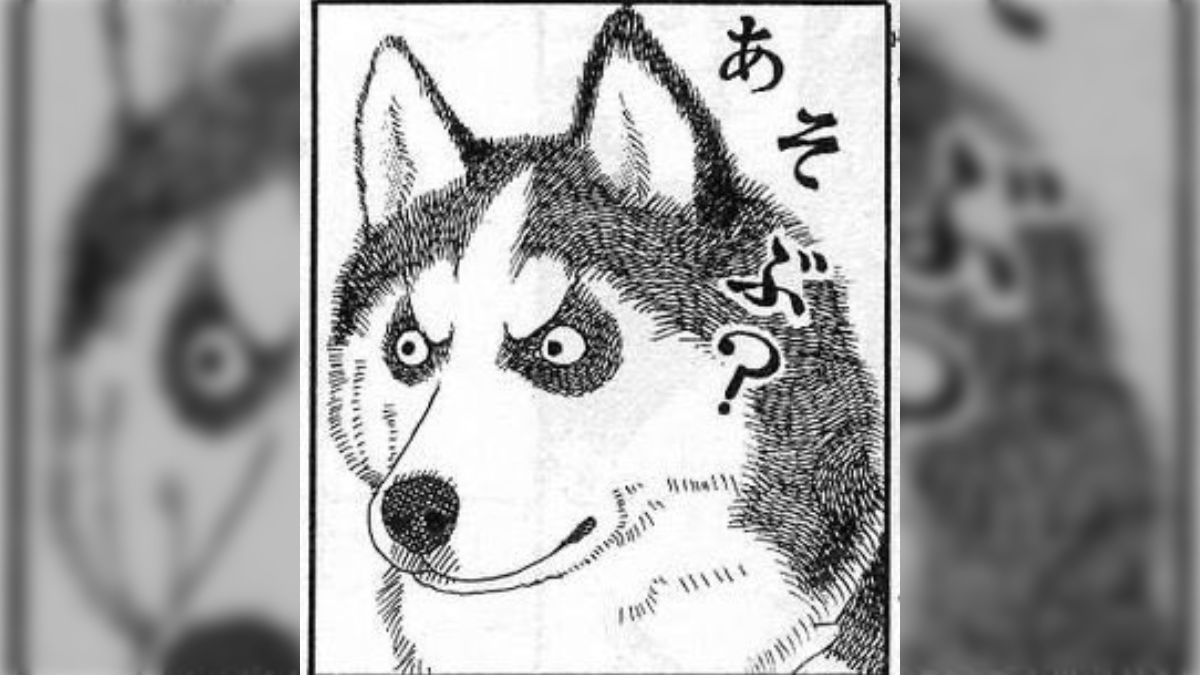 佐々木倫子「動物のお医者さん」「おたんこナース」がセール