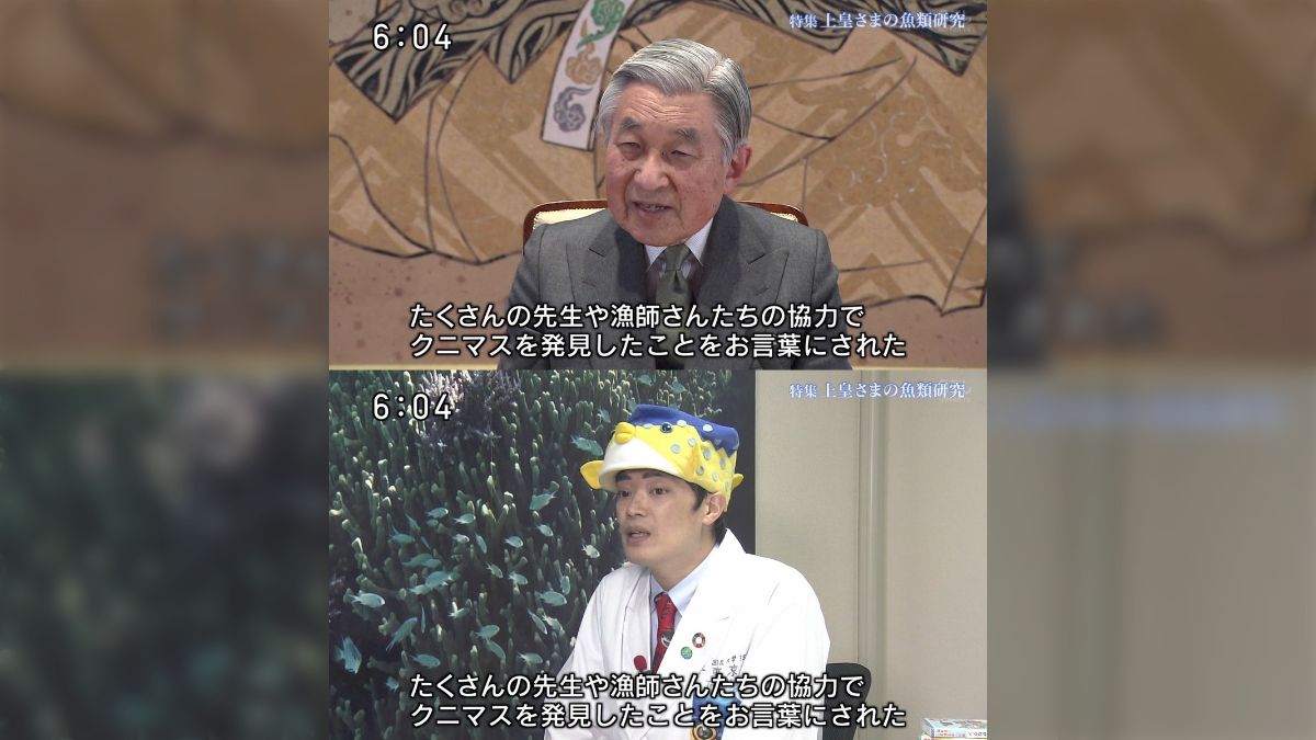 さかな クン 帽子 天皇