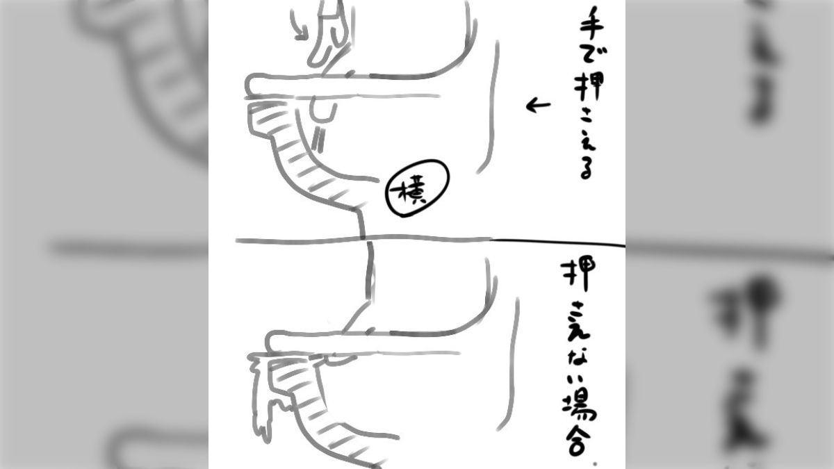 かわやん覗き洋式トイレ 男が使うとき今の便座は使い辛いので男も座ってやる方が良いと思えるものが一般化してほしい→「めっちゃわかる」「本当これ」 (2ページ目) -  Togetter [トゥギャッター]