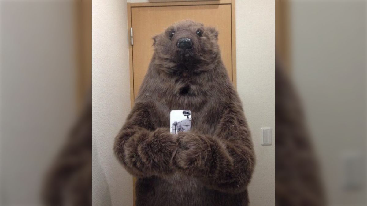 趣味でリアルなクマの着ぐるみを作っているが、作り始めた当時は今ほど