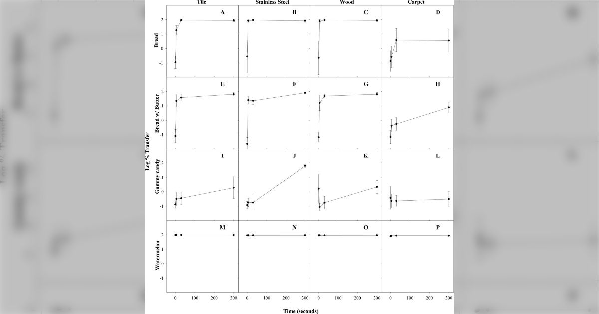 5秒ルールとは何ですか?