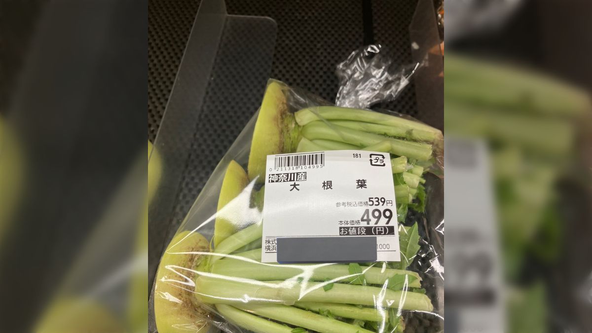   sarer 54173 YouTube>1{ ->摜>6 