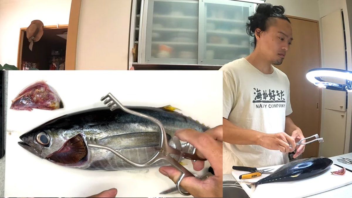 『やばいYouTube見つけてしまった』マグロの背大動脈にバルーンカテーテルを挿入し醤油を…「料理の動画なのに、出てきてる器具がほぼ医療用w」「ミノタウロスの皿かな？」  - Togetter [トゥギャッター]