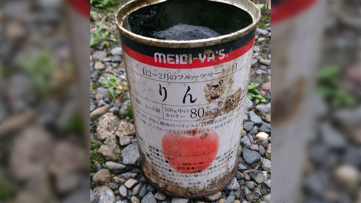 りんご 賞味期限が1992年のリンゴの缶詰を開けてみた「りんごの化石だー