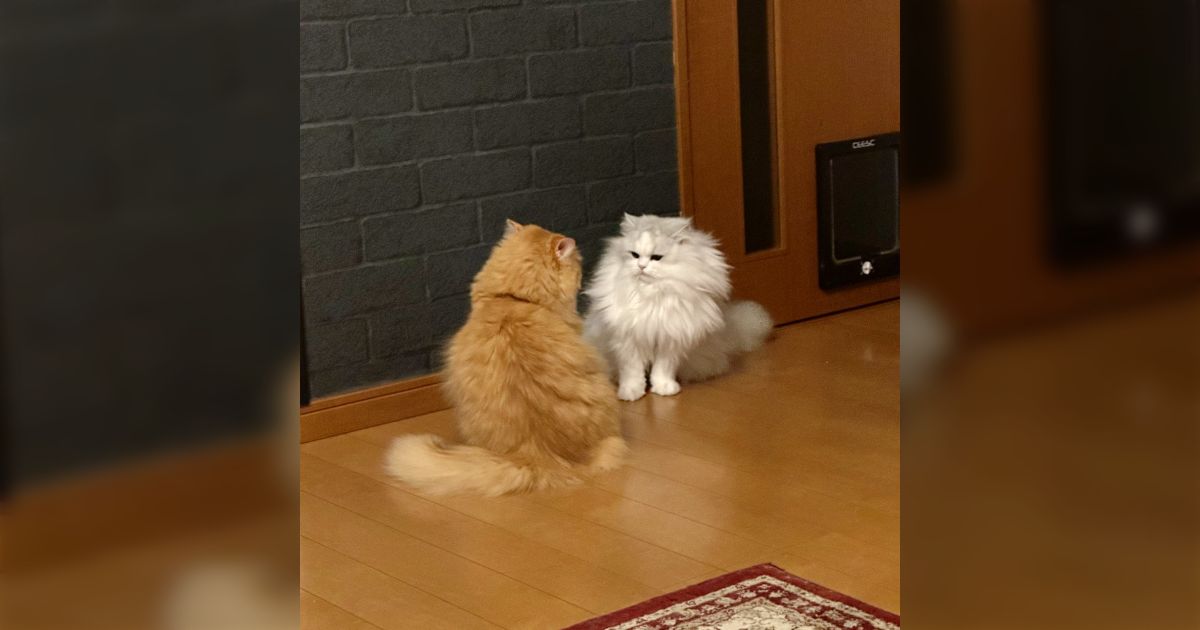 ea914395e716fec8ceb1873e33052d ea914395e716fec8ceb1873e33052d