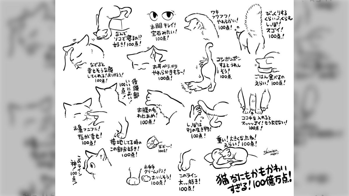 猫さんは何もかもがかわいすぎる！好きなポイントや瞬間を描いた