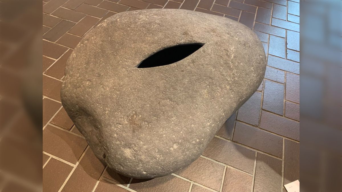 東京藝術大学の卒展で見た『狂気的』な作品がこちらです「石です 東京藝術大学の卒展で見た『狂気的』な作品がこちらです「石です
