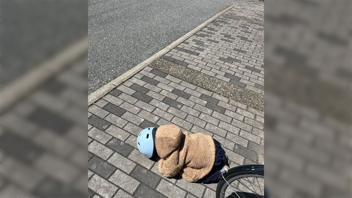 山藤　（山取) 撮影日★2025、04、06日1～5 ★04月,10日そ 山藤 （山取) 撮影日☆2025、04、06日1～5 ☆04月,10日そ 【公式通販】