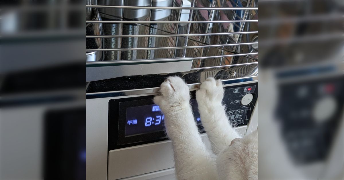 ストーブと再会し「いとしのあたたかいのやつー！」と感極まって喜ぶ猫さんたち、早くも冬の訪れを感じる