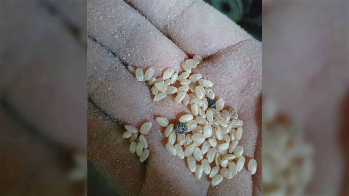 ちみ様専用 25キロを精米