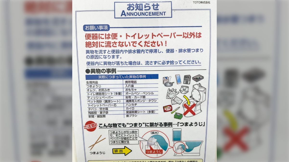 流せる トイレ クリーナー 消費 者 庁