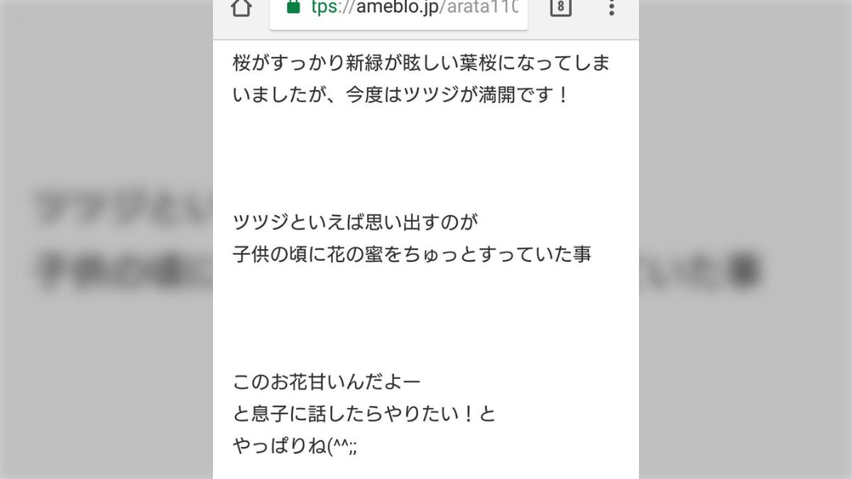 ツツジ 蜜 炎上