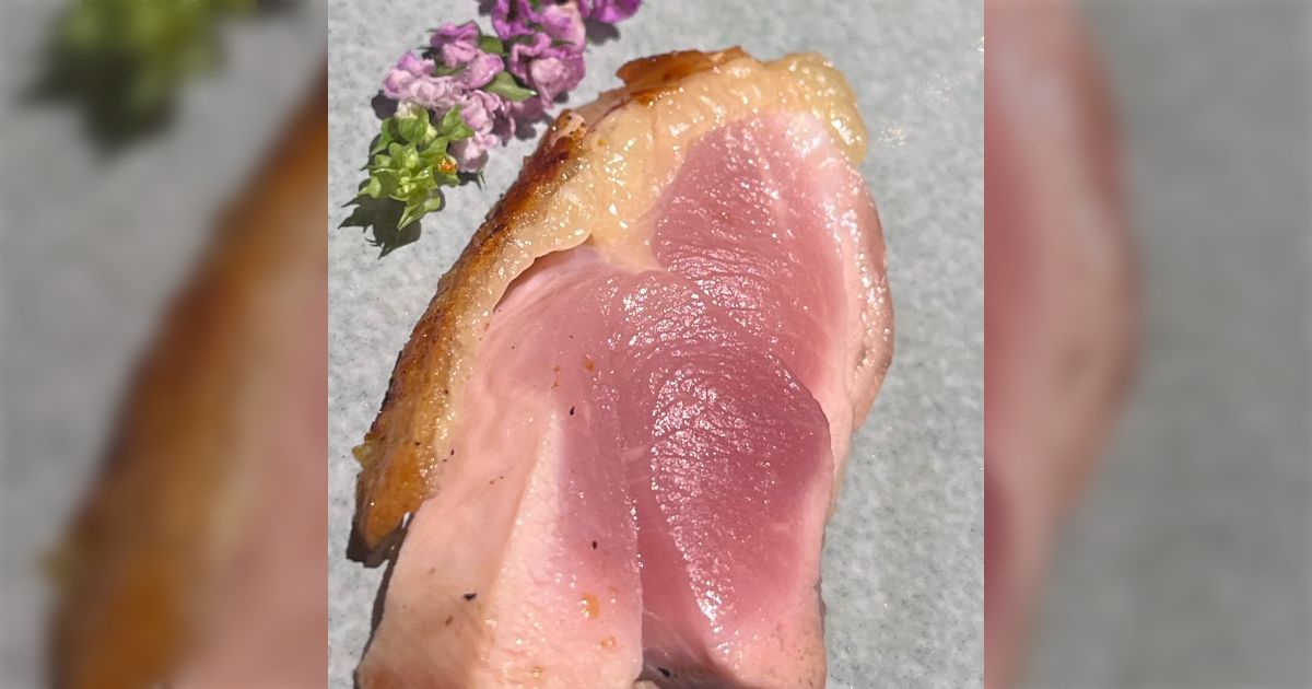 一万円のコースを楽しんでいたらどうみても生にしか見えない「地鶏のレア焼き」が出てきて絶望…そもそもレアは火が通ってる