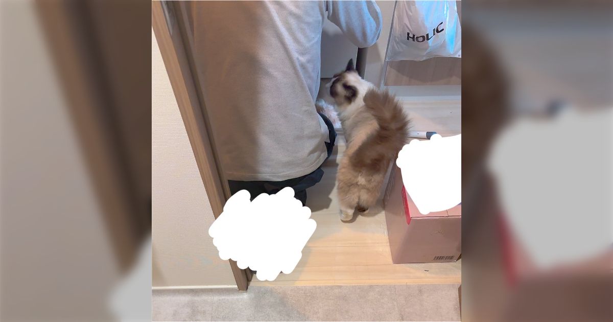 業者の方に「家に猫がいます、アレルギーや苦手な方はいますか？隔離しますか？」と尋ねたら「厳選します」という返答が来た