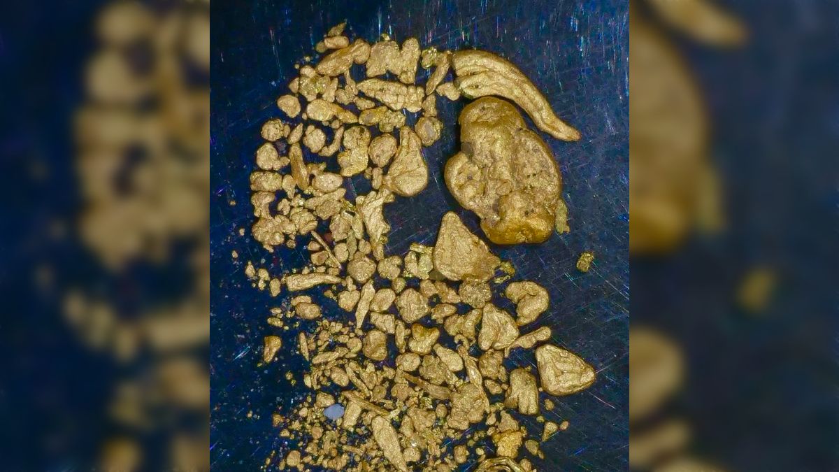 川へ新しい砂金産地の開拓しに行ったら4時間でこの大成果「まさに