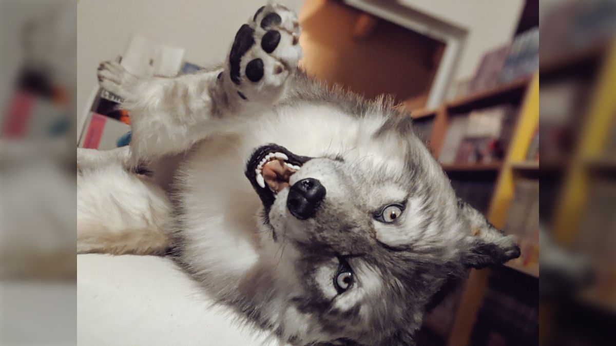 オオカミアートドール