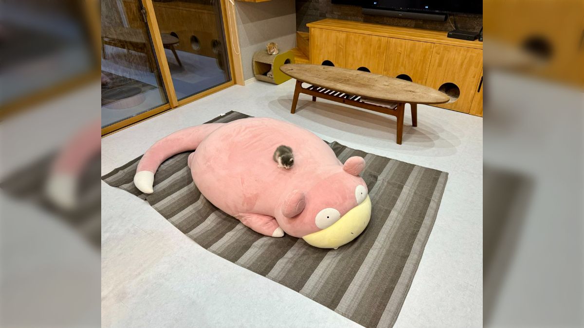 1993年生まれのパタゴニアstuffed toyぬいぐるみ90'sパイル素材 1993年