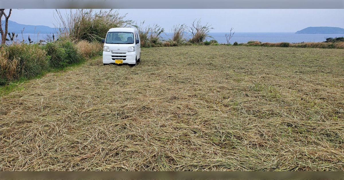 『そこは駐車場ではない 牛の餌を生産している畑です』農家さんから釣り人へ注意喚起、以前は逆ギレされ怖い思いをした事も…