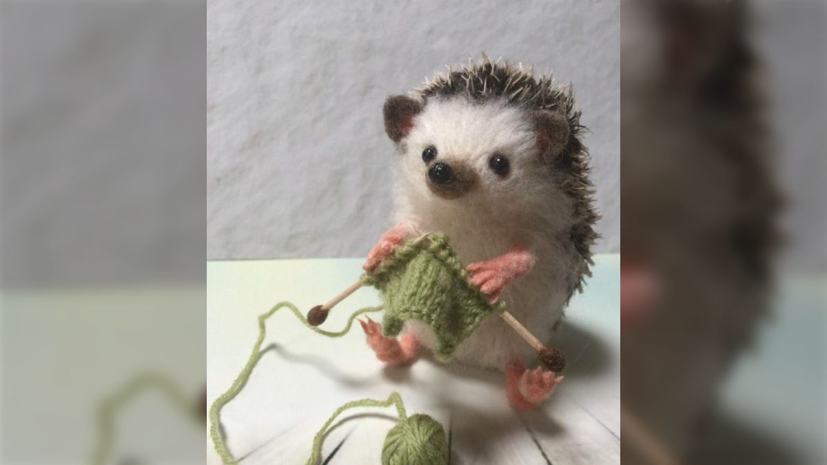 入手困難　羊毛フェルト作家　sako様　がま口ポシェット 羊毛フェルト作家 sako様 がま口ポシェット 2025年最新】羊毛フェルト