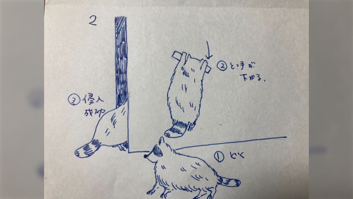 露出美術館の全裸掲示板 アライグマ３匹がガレージに侵入してきたが、その連携プレーが人間もビックリの賢さだった - Togetter [トゥギャッター]
