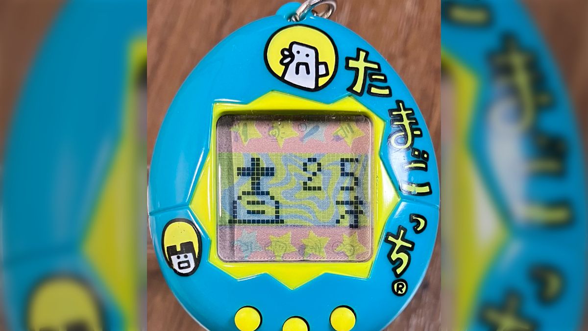 慎重に育てていたせきとりっちが享年25才で寿命を迎えた