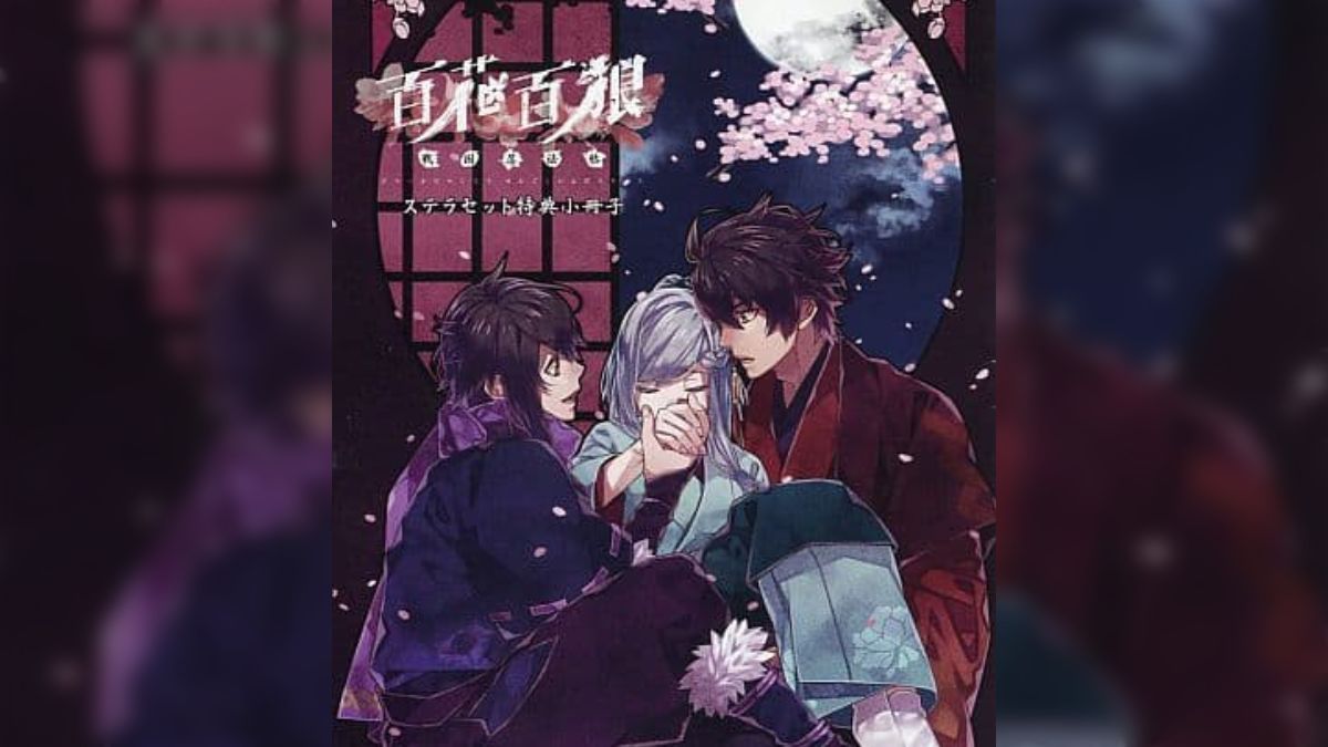 乙女ゲーム 特典 小冊子 17冊セット ☆ まとめ売り 乙女ゲームのヒロインサンドイッチ構図まとめ（ステラワース特典小冊子