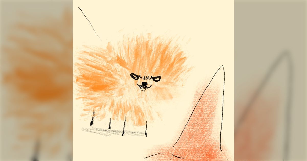 「近所のポメラニアンが三角コーンともめてた」気の強いポメを体現するエピソードが集まって笑顔 - Togetter