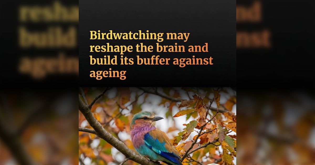 趣味のバードウォッチングが人間の脳を高度に発達させるという研究→植物採集の趣味人たち「時速70kmの車で走ってても道路脇の植物が見えてる」