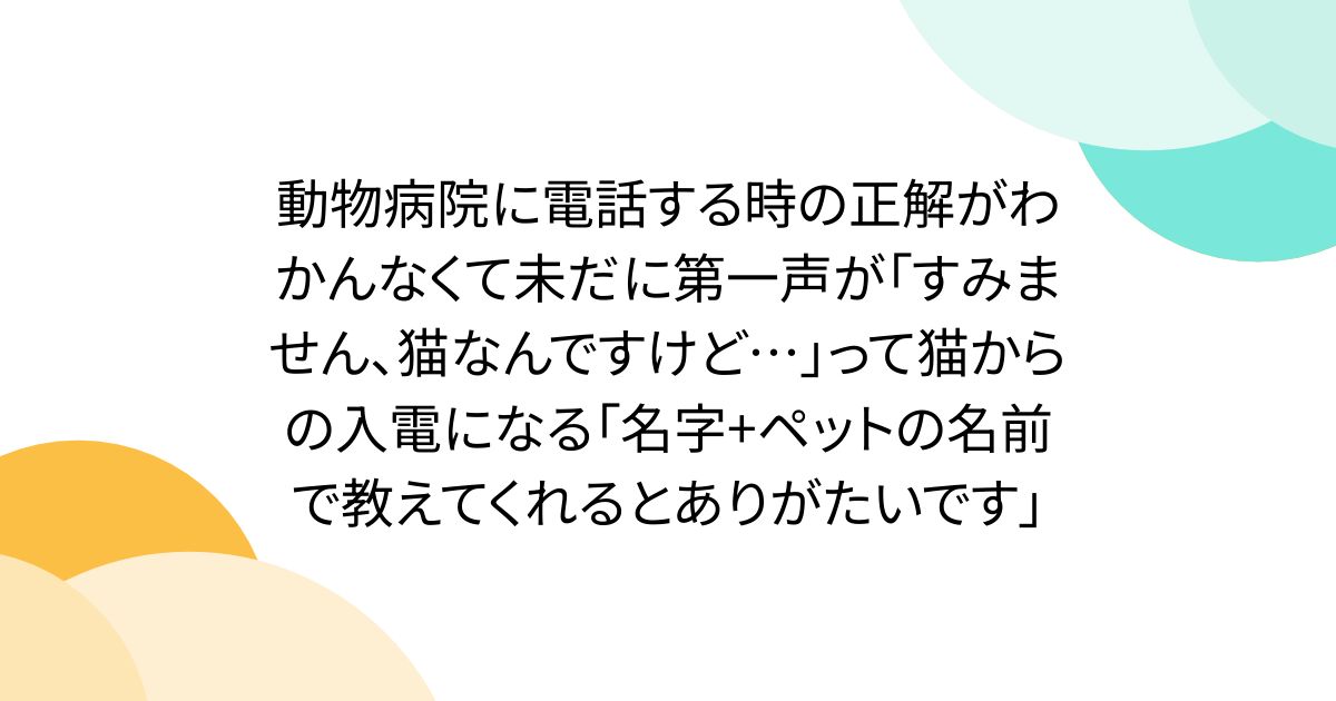 動物病院に電話する時の正解がわかんなくて未だに第一声が「すみません、猫なんですけど…」って猫からの入電になる「名字+ペットの名前で教えてくれるとありがたいです」