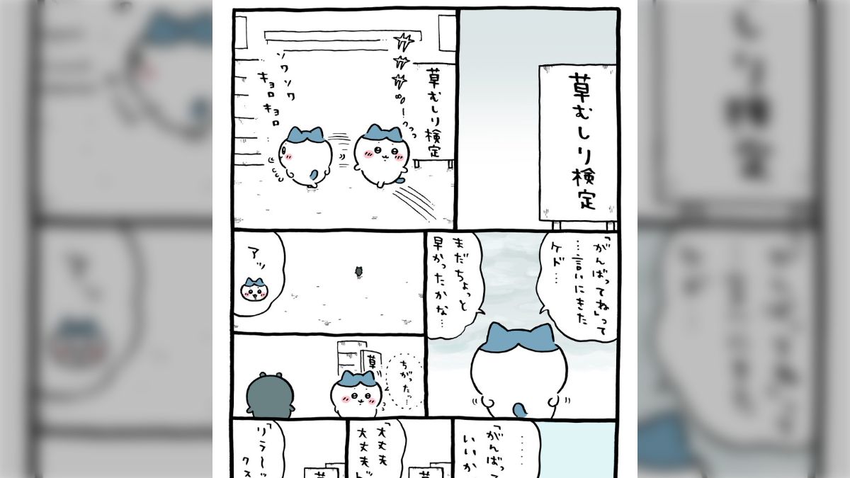 希少になる いよいよ草むしり検定5級の本番を迎えるちいかわ、応援の声を 指輪・リング